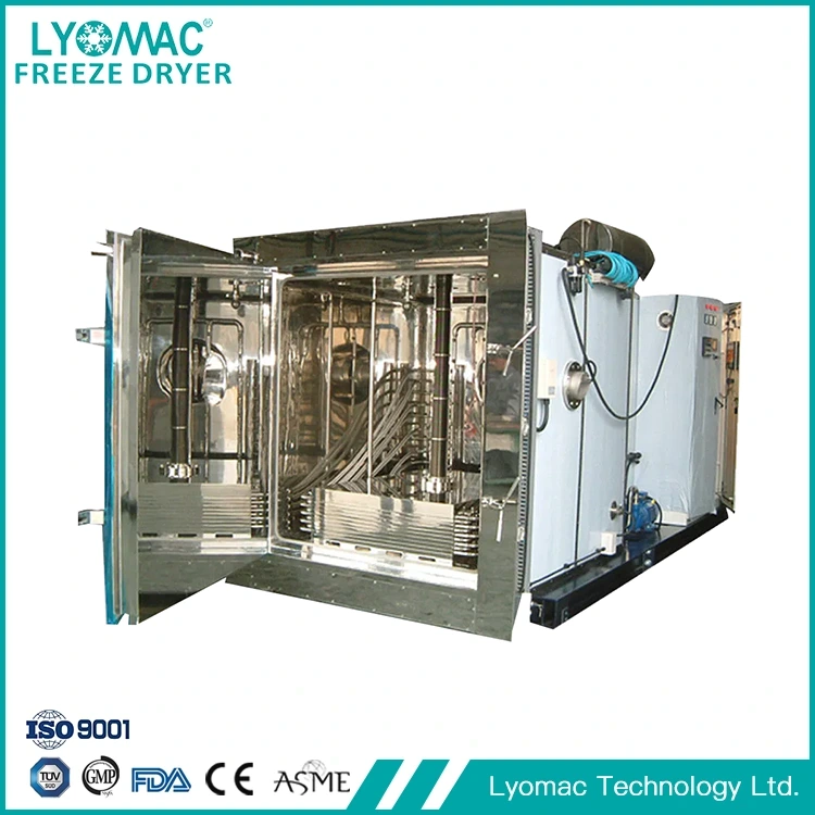 Faktor Utama untuk Memilih Pengering Beku: Perkara yang Diutamakan oleh Pemimpin Farmasi (Dan Mengapa Lyomac Menyampaikan)