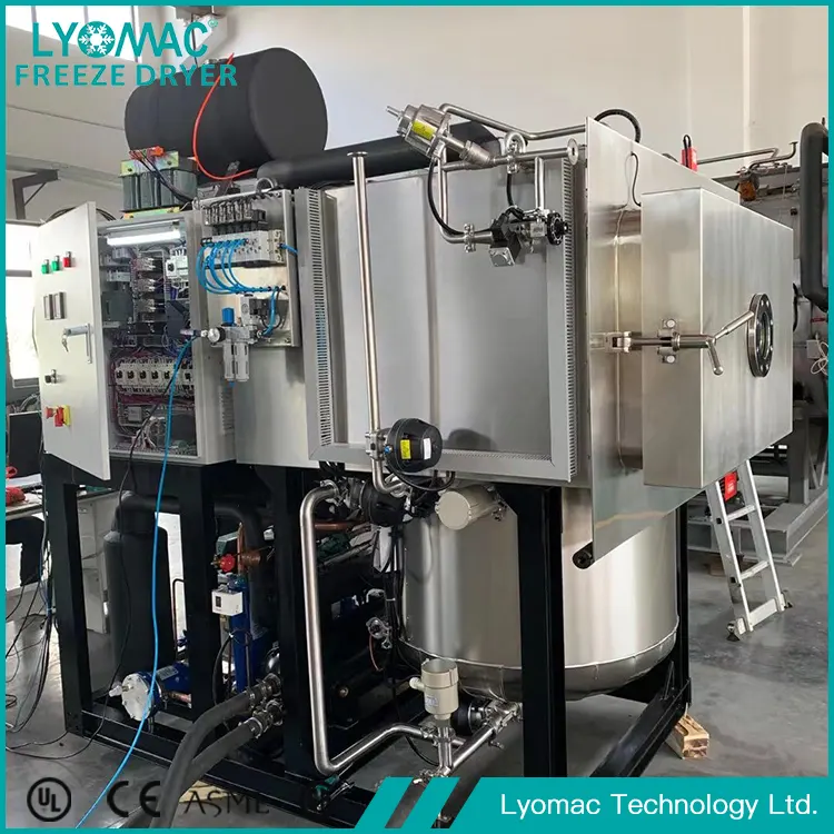 Perkhidmatan & Sokongan Global: Janji Perkongsian Sepanjang Hayat Lyomac
