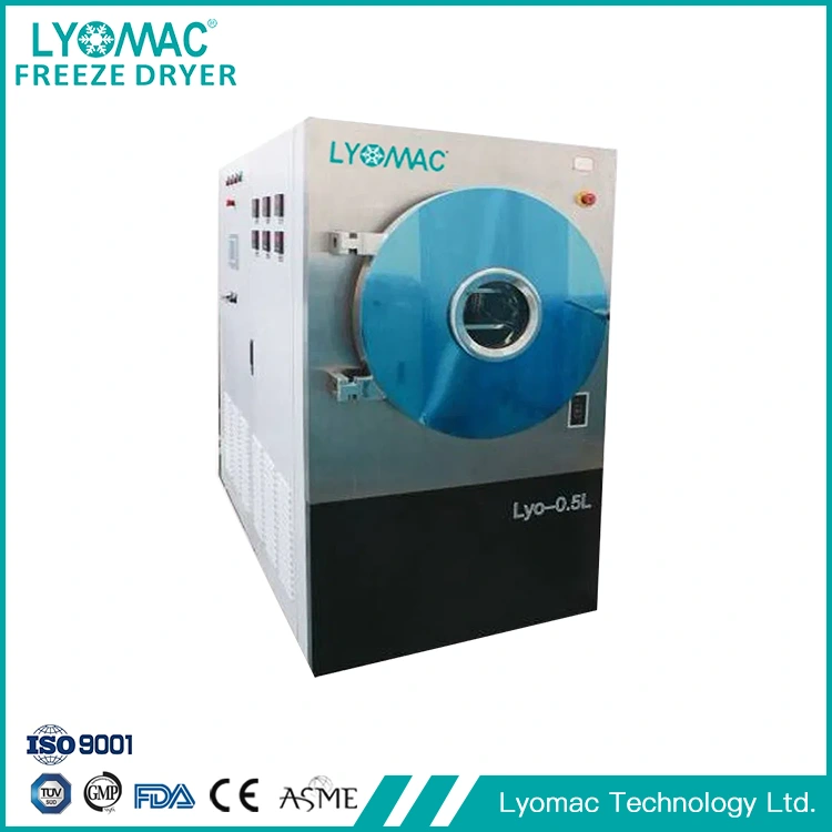 Lyophilizer Benchtop Makmal